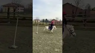 Vicky rides Fiamma 🔥 #baby #horse #pony #ponygames #shorts #training #twomugs #shetlandpony