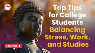 Top Tips for College Students Balancing Stress, Work, and Studies