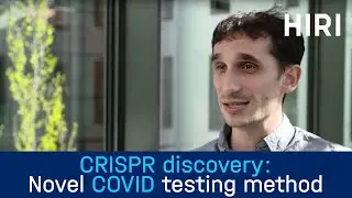 CRISPR discovery from W&uuml;rzburg paves the way for novel COVID testing method