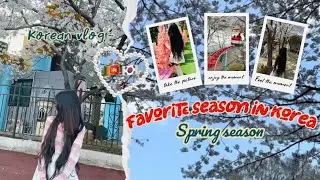 Spring season in Korea 🥹🇰🇷🌸💗🤗 | riding sky bike 🇰🇷🎡🌸💗 | @Nishiwithfamily 