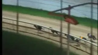 IGB - The www.barkingbuzz.ie A0  11/01/2020 Race 6 - Shelbourne Park