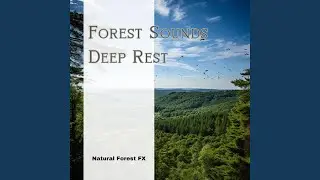 Refreshing Forest Sounds