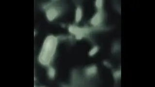 Lyvr - dayum