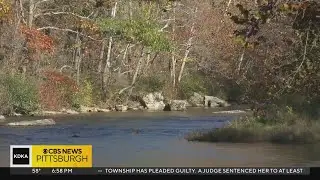 Peak fall colors bring boost in tourism to Laurel Highlands