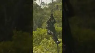 Brazil Special Forces 🇧🇷 #military #shorts