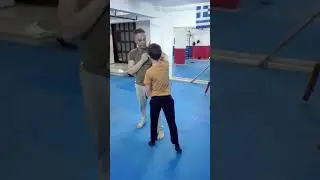 Wing chun praxis