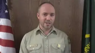Tonto Plan Revision - Species of Conservation Concern