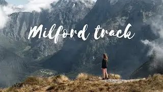4 dias andando pela Milford Track - Nova Zelândia (4K)