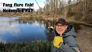 Vi er i Hedensted igen!!! Put and Take Fiskeri