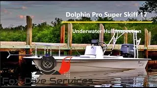 Dolphin Pro Super Skiff 17 Underwater Hull Inspection