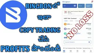 Bingbon Copy Trading Tutorial in Telugu || Cryptoinfo ||