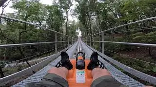 Georgia Mountain Coaster - Helen