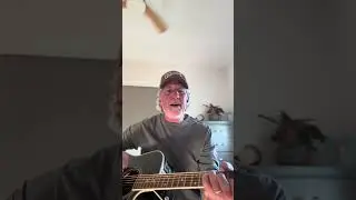 Desperado Cover