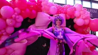 Butterflies & Bows with Pink Bows Foundation - The American Dream TV hosted by Amy Patton #houston