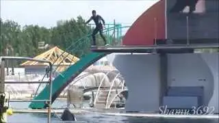 Black&White Killer whale Show- Marineland Antibes