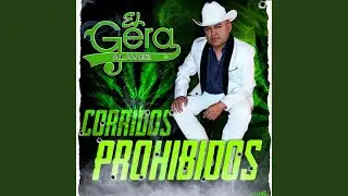 Traficantes Precavidos
