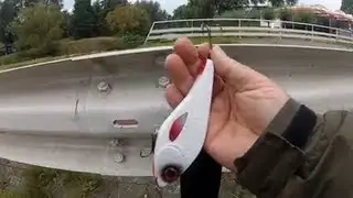 Snoeken met een Spro Jerkbait. Live aanbeten. GoPro.