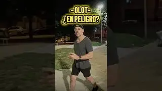 ⚠️&iquest;Qu&eacute; est&aacute;  PASANDO en OLOT? Criminalidad al Alza #daveexplora #olot #okupas
