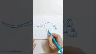 Continuous one line kangaroo
