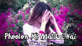 Phoolon Ki Malika Hai 🌸 | Romantic LOFI Song | Mind Relaxing Love Vibes | TRENDING SONG | VIRAL |...