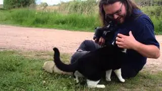 One VERY friendly kitty