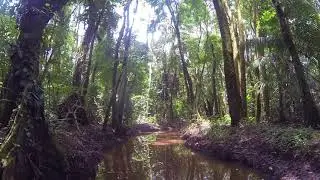 Up the Canal to False Bluff