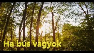 Ha n&eacute;ha, n&eacute;ha b&uacute;s vagyok...