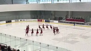 Synchro Illinois 2026 Juvenile