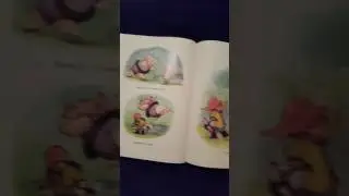 The Puddle Read Aloud