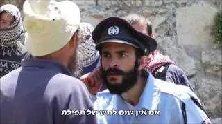 צבר - כשהמציאות דוקרת | אני עוצר על החומה