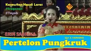 ERIN SABRINA - PERTELON PUNGKRUK (Original Version - Official Video)