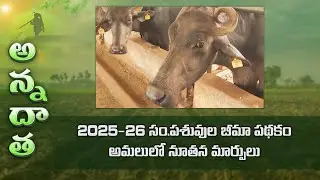 New changes in animal insurance scheme 2025-26 | ETV
