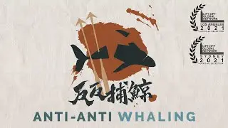 Anti-anti Whaling: Japan's Resumption of the Hunt | Full Documentary