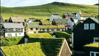 Ecological Engineering - is it the future?