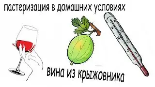 Пастеризация вина из крыжовника в домашних условиях