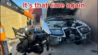 Z32 twin turbo engine going back in