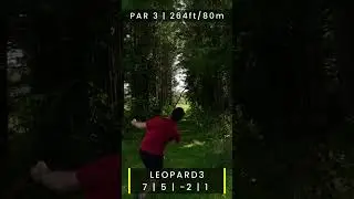 The Hyzer Flip Tunnel Shot!