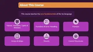 About this course and what you will gain after finishing this Go lang course