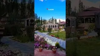 White Sand Resort, Hunder Nubra, Ladakh #ladakh #travel #leh #ladakhtravel #mountain #travel