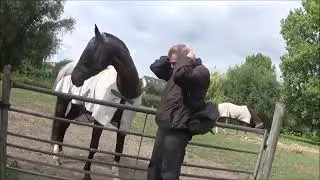 I have returned with lovely horse Izzy and a lot of bothering flies