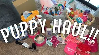 HUGE Puppy Haul || Maltipoo