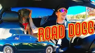Boosted Road Trip!! Over 300 Miles To The Mustang's New Home