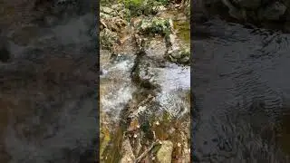 Sounds of nature at Daedun Mountain, Korea 2 #soundsofnature #daedunsan #naturalsounds
