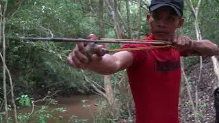 Slingshot FISHING FRENZY! Epic Catches & Insane Accuracy!