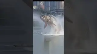 Wow 😲😱 #ai #funny #fishing #shorts