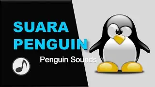 Suara Penguin
