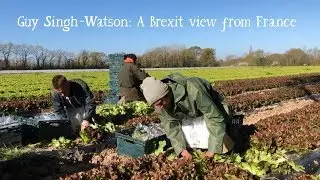 A Brexit view from France - Guy Singh-Watson