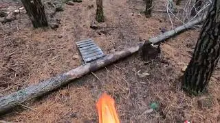 Sunny Corner State Forest Enduro - 2024 BETA 250 RR - lots of single trails