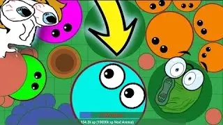 Mope.io - Novo Agar.io - VIREI UM GUEPARDO (New Agario epic kills)