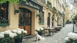 🌷 Outdoor Spring Coffee Jazz 🎶☕ Smooth Street Jazz for City Life & Relaxing Moments